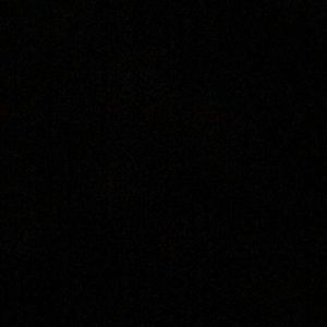 Meet your Posher, Judy